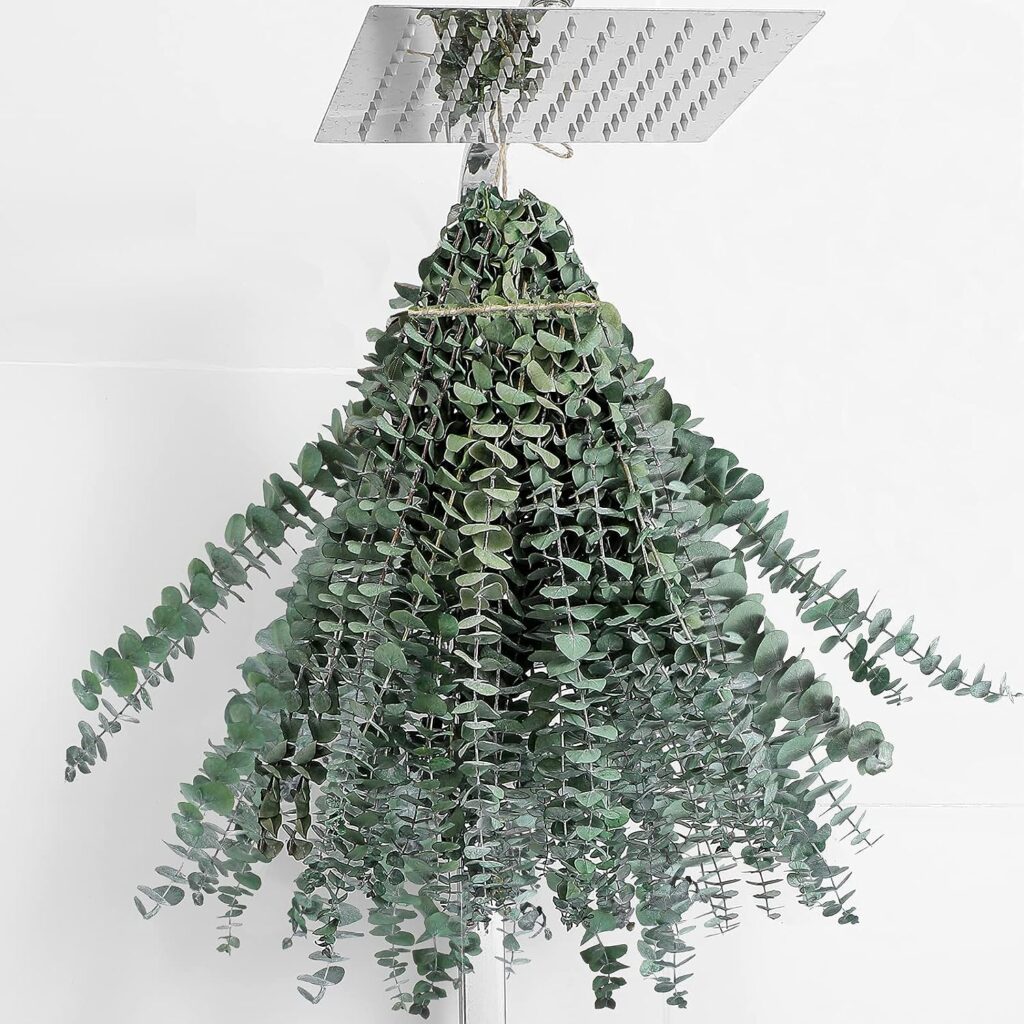 20 Pcs Eucalyptus for Shower Hanging Dried Eucalyptus Stems 17 Real Eucalyptus 100% Made From Fresh Eucalyptus Leaves Artificial Wedding Decor Home Decor Farmhouse Decor Diy Artificial Plants,Green