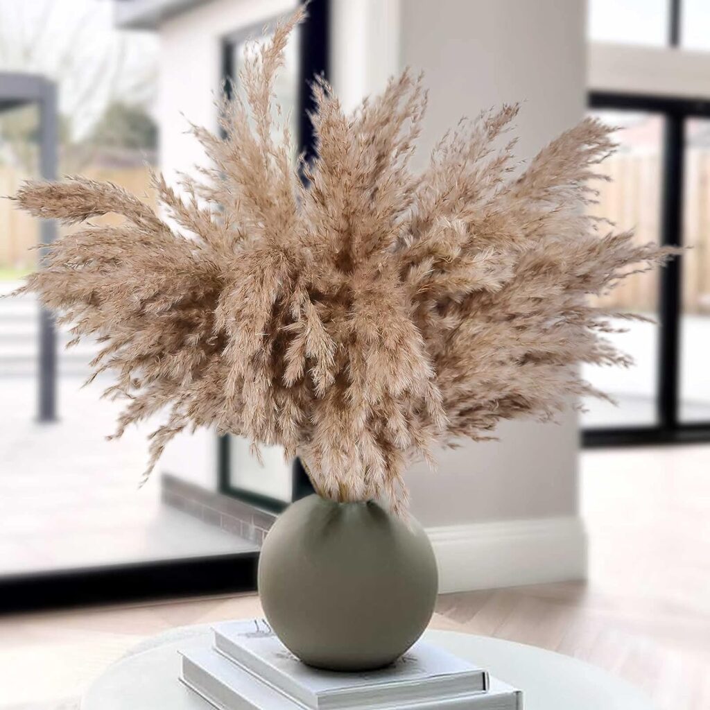 HUMINBO Pompas Floral Dried Pampas Grass Decor 30 Pcs Brown Pampass Fluffy for Modern Home Decor Boho Baby Shower Wedding Decorations Short Dry Flowers for Small Vase