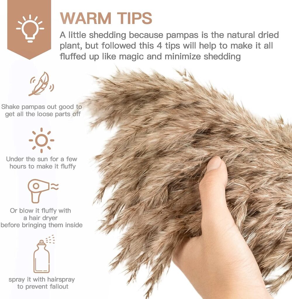 HUMINBO Pompas Floral Dried Pampas Grass Decor 30 Pcs Brown Pampass Fluffy for Modern Home Decor Boho Baby Shower Wedding Decorations Short Dry Flowers for Small Vase