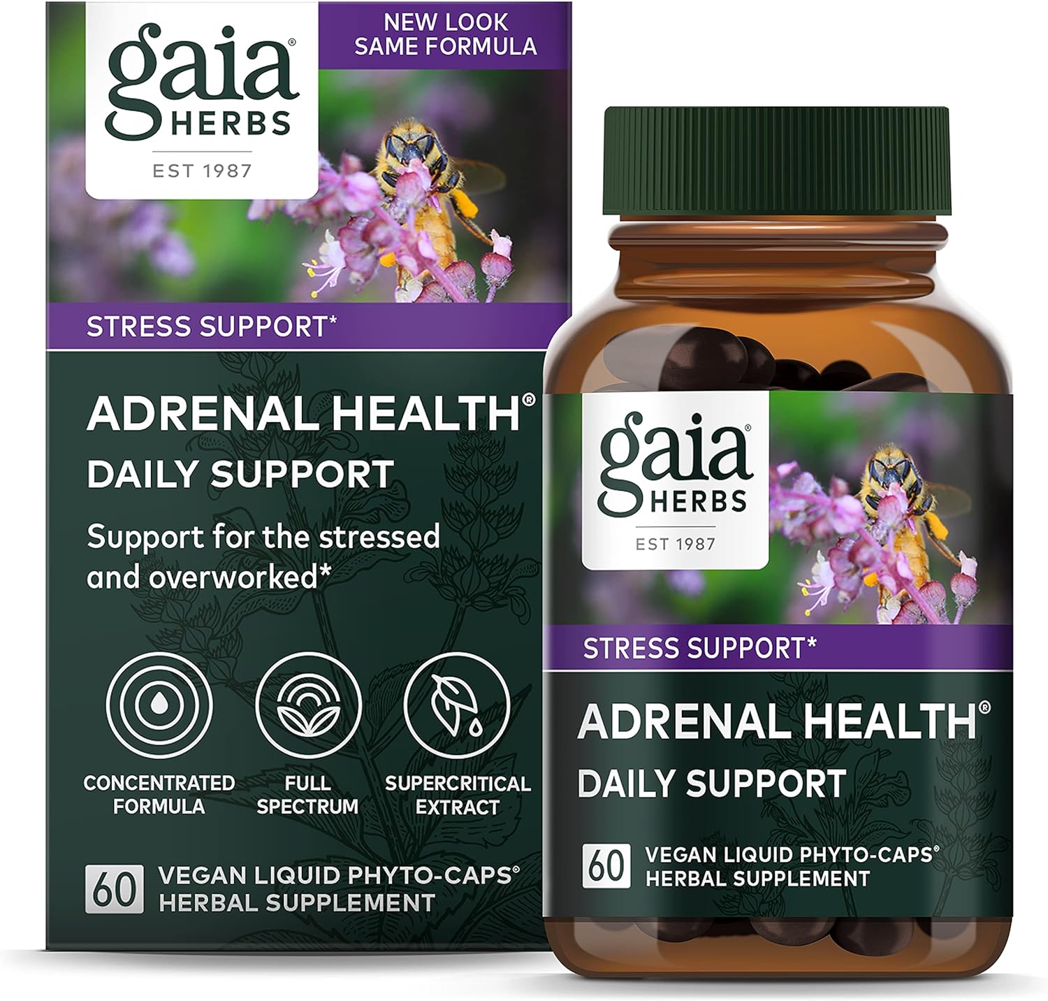 Gaia Herbs Adrenal Health Daily Support - with Ashwagandha, Holy Basil  Schisandra - Herbal Supplement to Help Maintain Healthy Energy and Stress Levels - 120 Liquid Phyto-Capsules (120 Count)