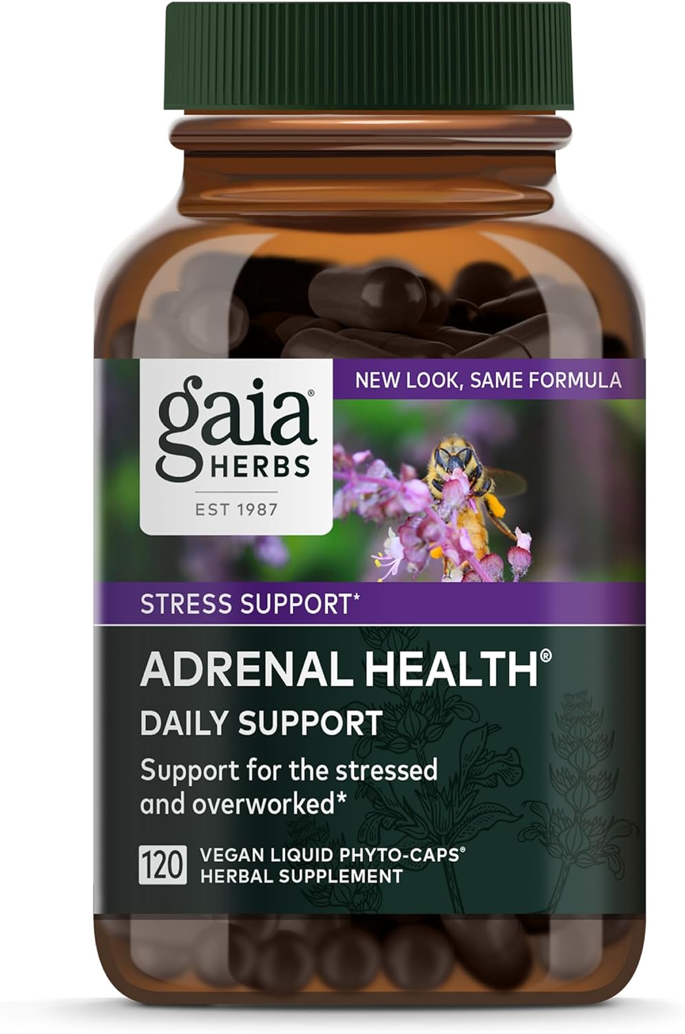 Gaia Herbs Adrenal Health Daily Support - with Ashwagandha, Holy Basil  Schisandra - Herbal Supplement to Help Maintain Healthy Energy and Stress Levels - 120 Liquid Phyto-Capsules (120 Count)