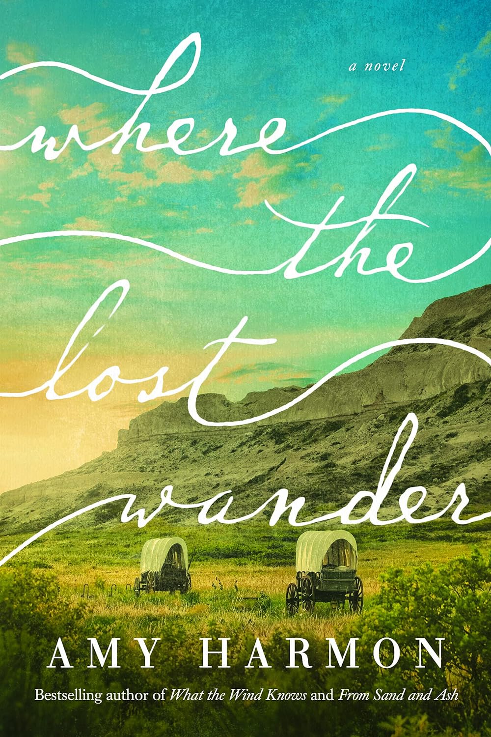 Where the Lost Wander: A Novel     Paperback – April 28, 2020